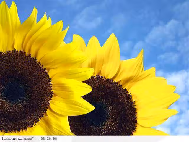 /www/bananadaily.net/web/images/image/2064/20647442.avif