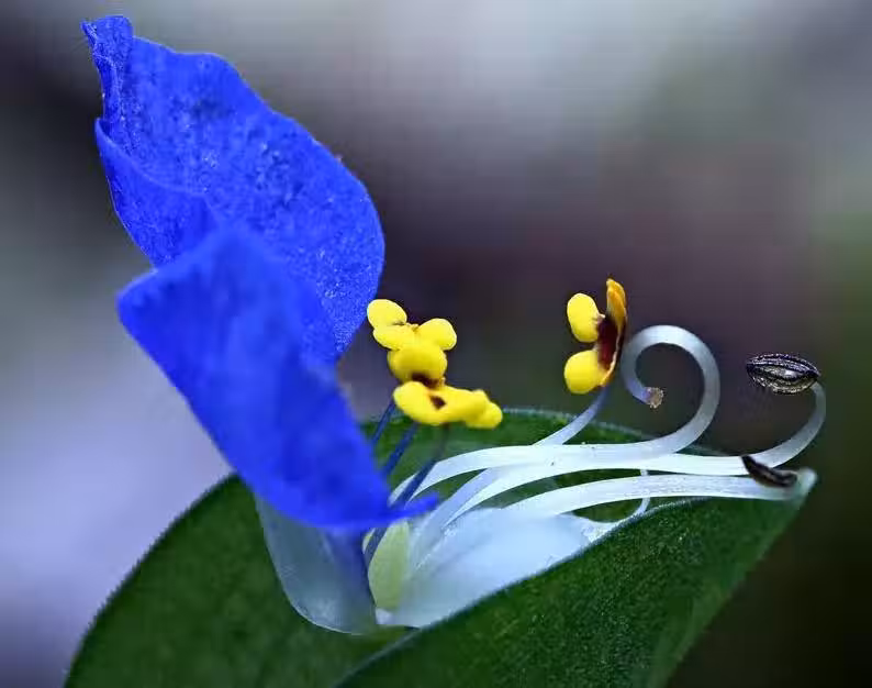 /www/bananadaily.net/web/images/image/2079/20791353.avif