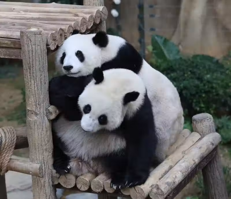 /www/bananadaily.net/web/images/image/2212/22128841.avif