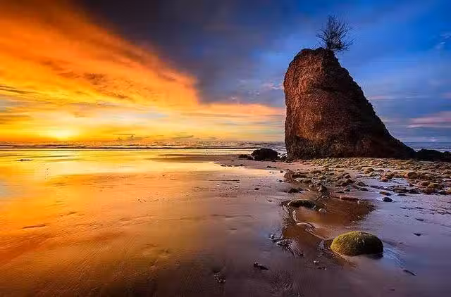 /www/bananadaily.net/web/images/image/2213/22135242.avif