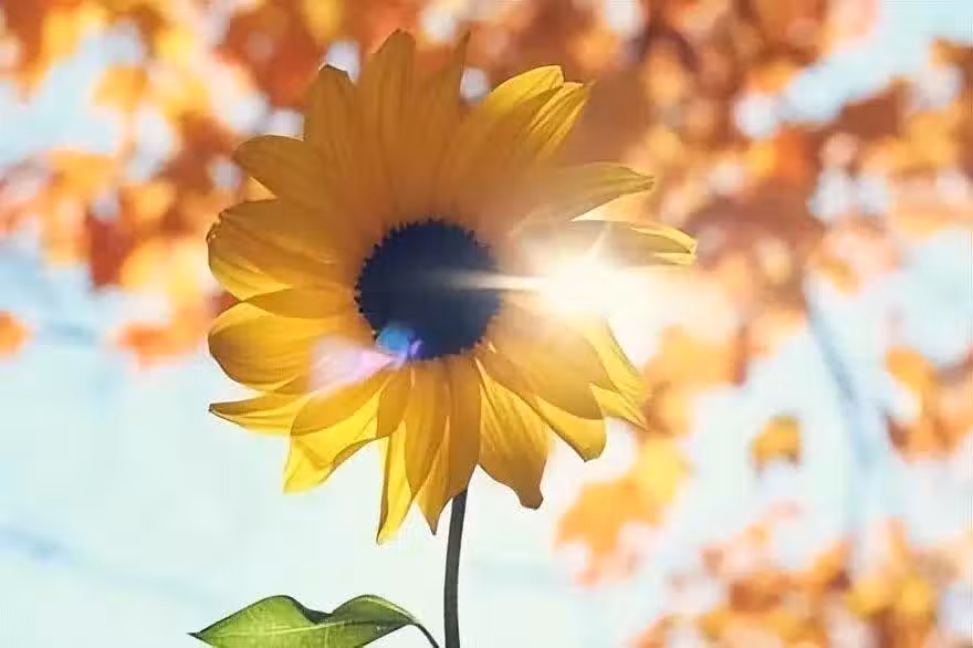 /www/bananadaily.net/web/images/image/2240/22405856.avif