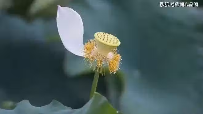 /www/bananadaily.net/web/images/image/2259/22592327.avif