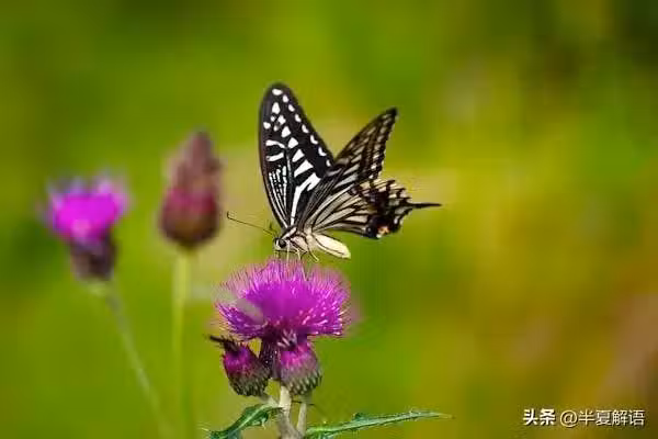 /www/bananadaily.net/web/images/image/2267/22674647.avif