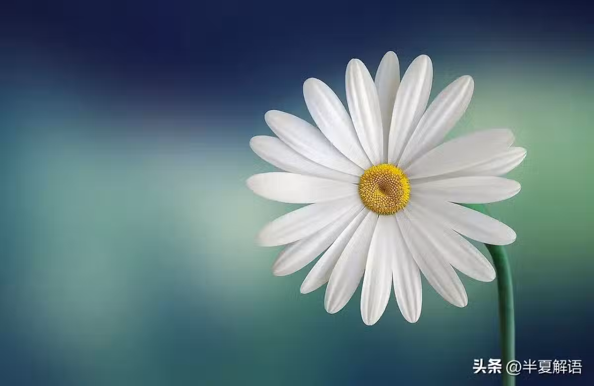 /www/bananadaily.net/web/images/image/2274/22742429.avif