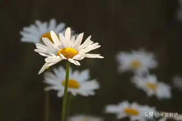 /www/bananadaily.net/web/images/image/2274/22747533.avif
