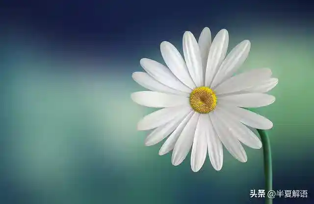/www/bananadaily.net/web/images/image/2274/22747534.avif