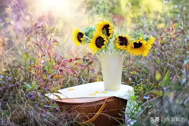 /www/bananadaily.net/web/images/image/2274/22747561.avif