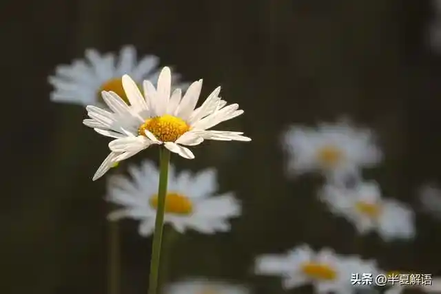 /www/bananadaily.net/web/images/image/2274/22747563.avif