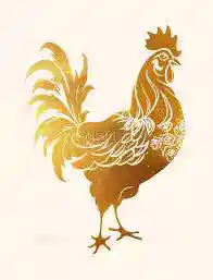 /www/bananadaily.net/web/images/image/2274/22747658.avif